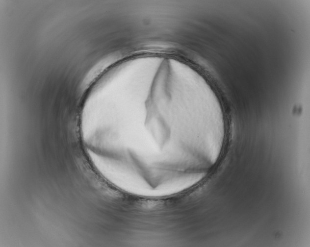 X0000111931362200908241105