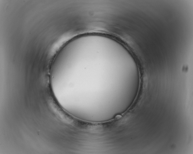 X0000111931363200908241105