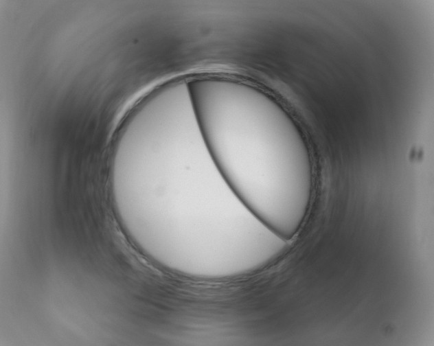 X0000111931364200908241105