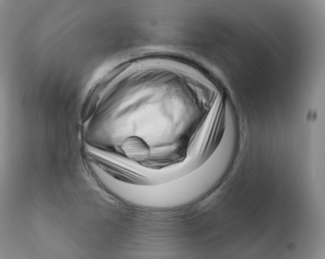 X0000111931365200908241105