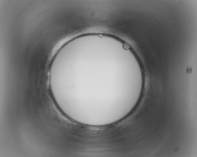 X0000111931366200908241105