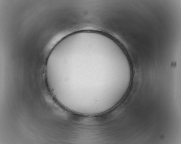 X0000111931367200908241105