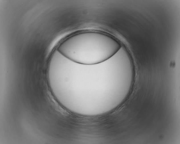 X0000111931368200908241105