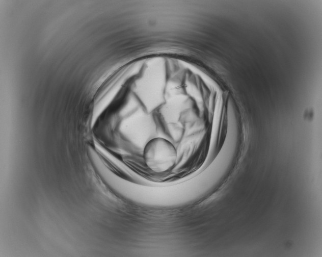 X0000111931369200908241105