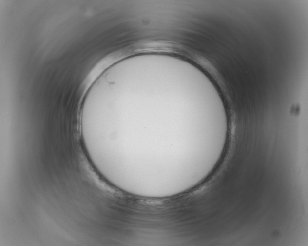 X0000111931370200908241105