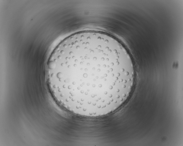 X0000111931371200908241105