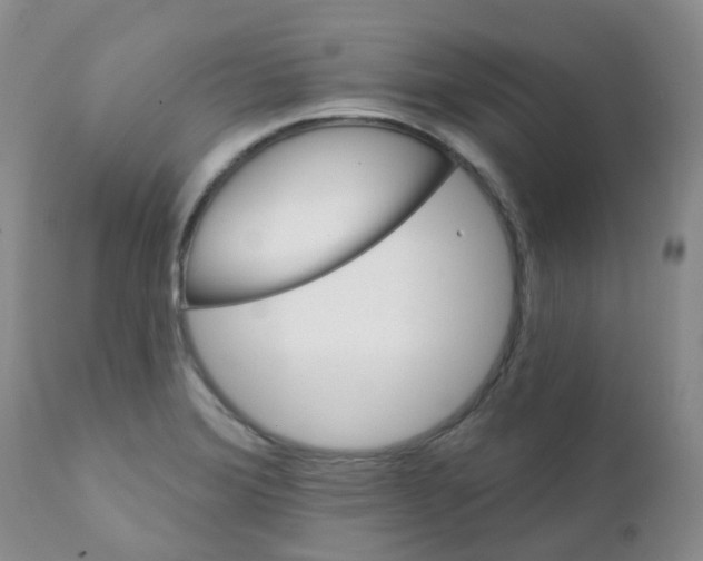 X0000111931372200908241105