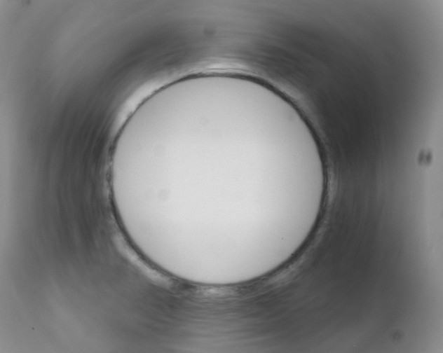 X0000111931374200908241105