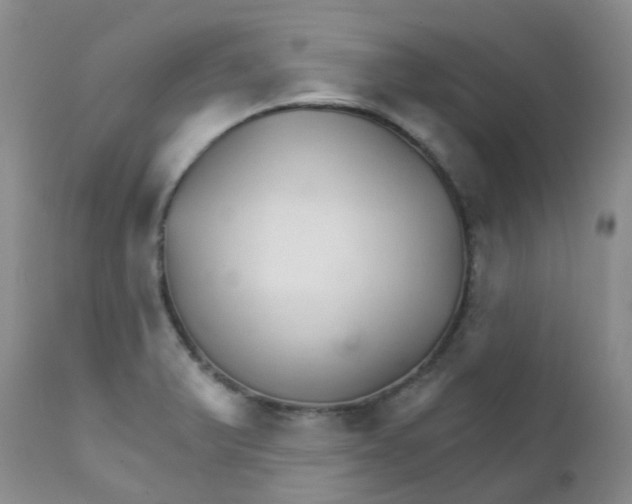 X0000111931375200908241105