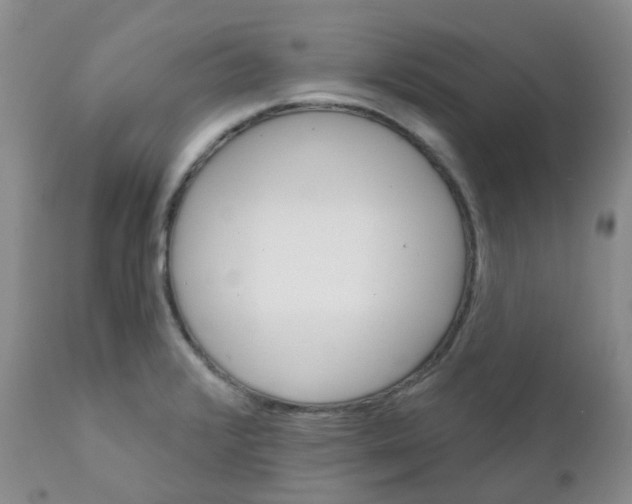 X0000111931376200908241105