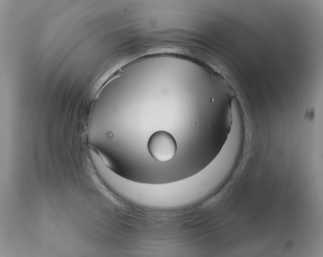 X0000111931377200908241105