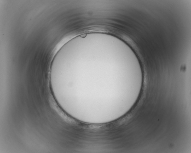 X0000111931378200908241105