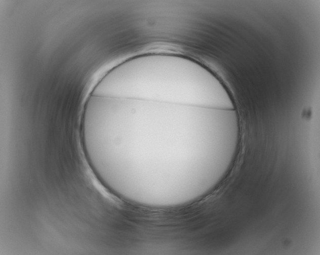 X0000111931379200908241105