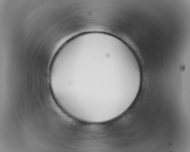 X0000111931380200908241105