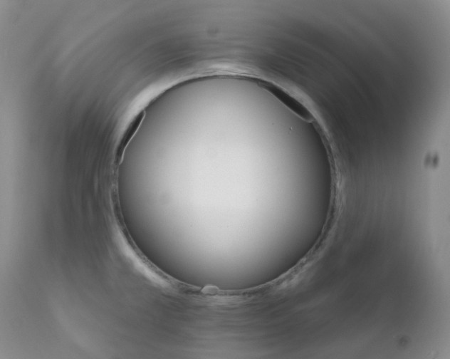 X0000111931381200908241105