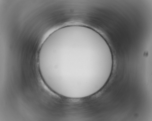 X0000111931382200908241105