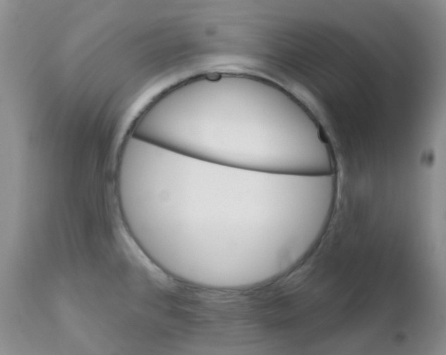 X0000111931384200908241105