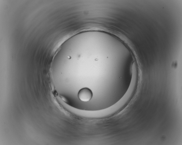 X0000111931385200908241105