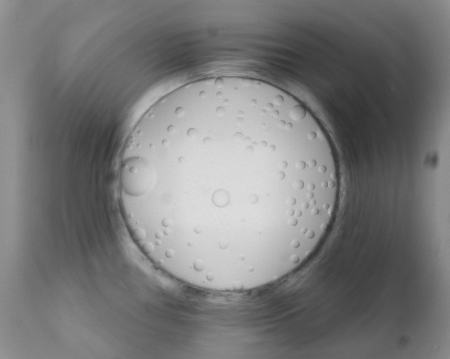 X0000111931386200908241105