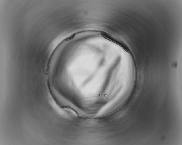 X0000111931387200908241105