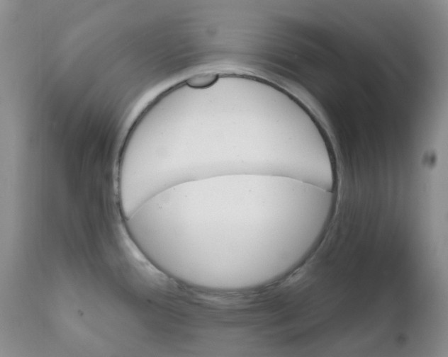 X0000111931388200908241105