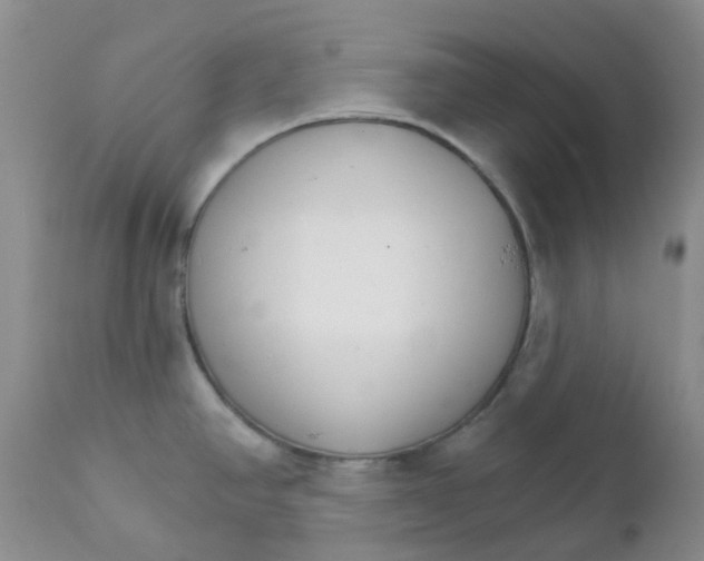 X0000111931390200908241105