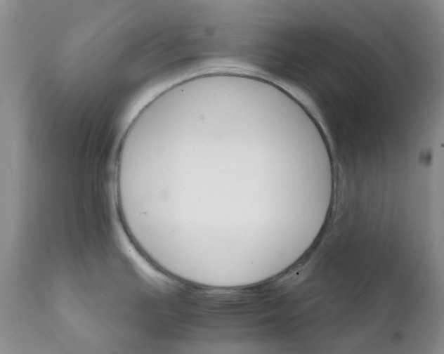 X0000111931391200908241105