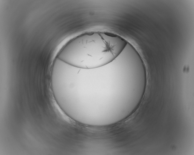 X0000111931392200908241105