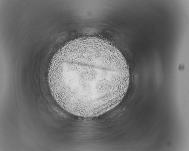 X0000111931393200908241104