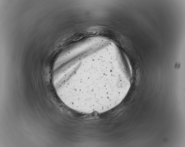 X0000111931394200908241104