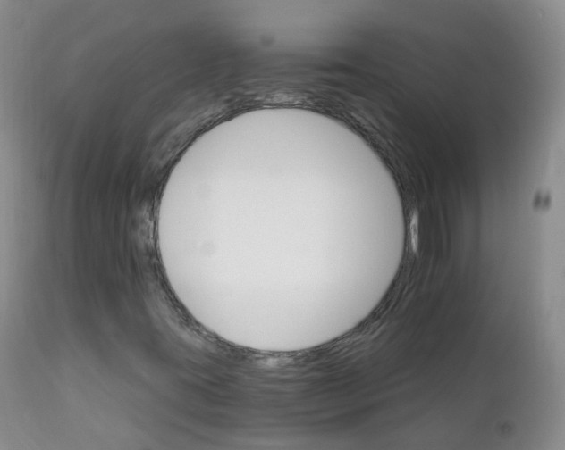 X0000111931395200908241104