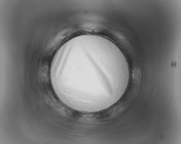 X0000111931396200908241104