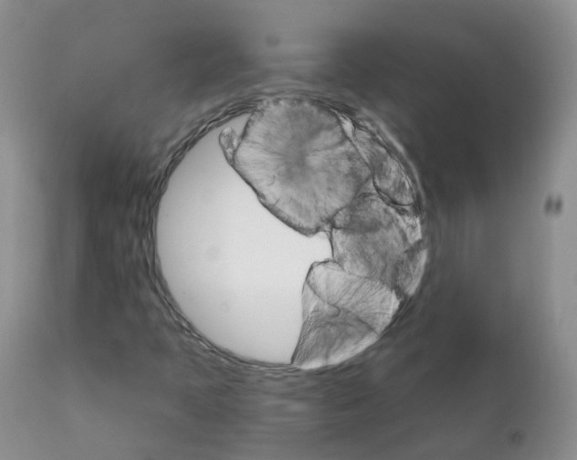 X0000111931397200908241104