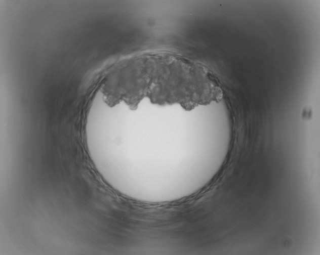 X0000111931398200908241104