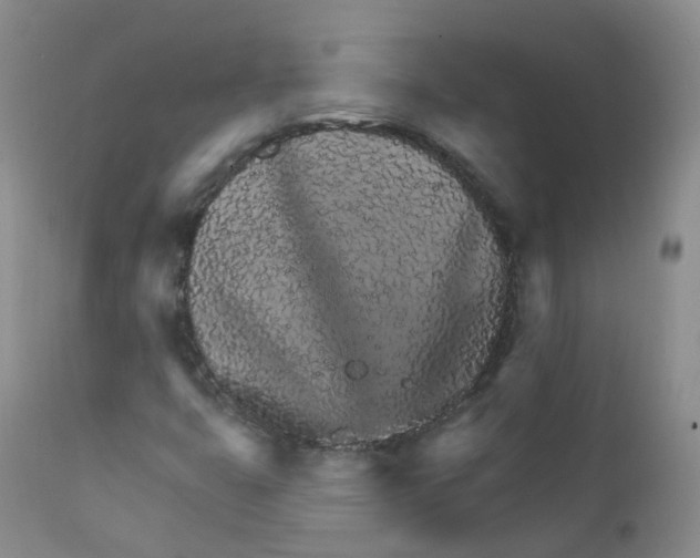 X0000111931399200908241104