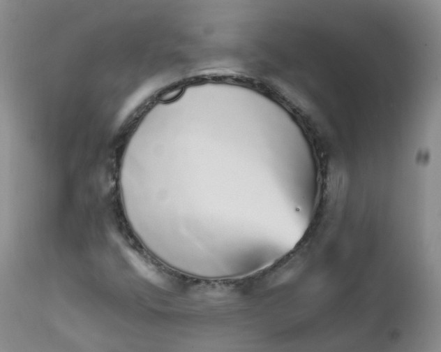 X0000111931400200908241104