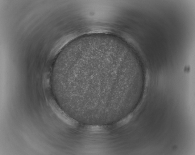 X0000111931401200908241104