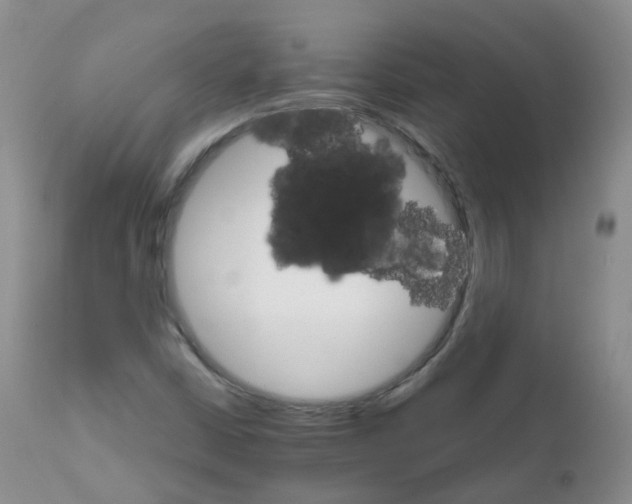 X0000111931402200908241104