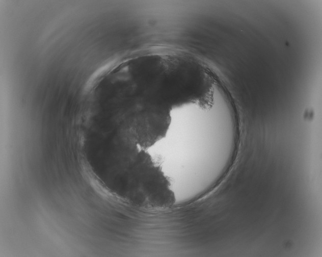 X0000111931403200908241104