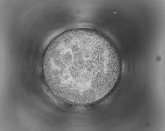 X0000111931405200908241104