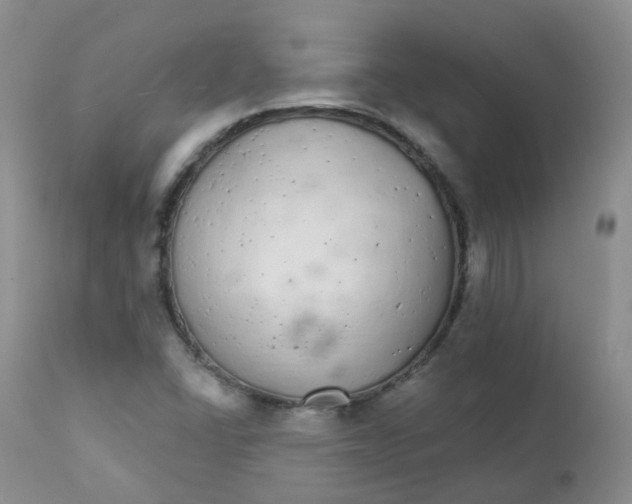 X0000111931406200908241104