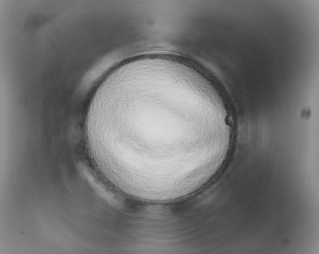 X0000111931407200908241104