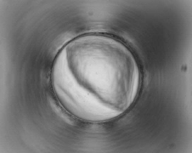 X0000111931409200908241104