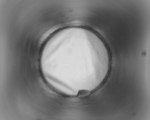 X0000111931410200908241104