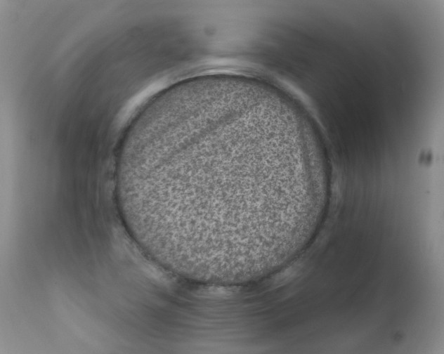 X0000111931411200908241104