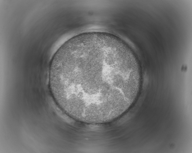 X0000111931413200908241104