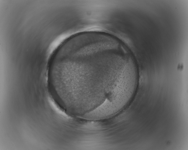 X0000111931414200908241104