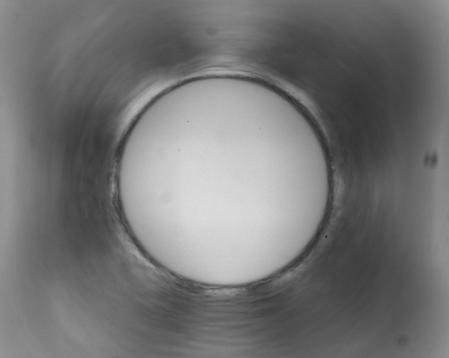 X0000111931415200908241104