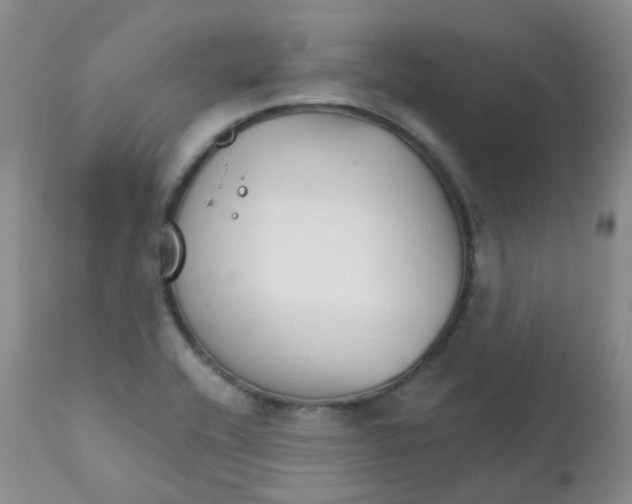 X0000111931416200908241104