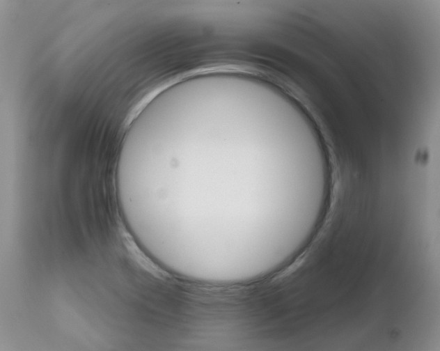 X0000111931417200908241104